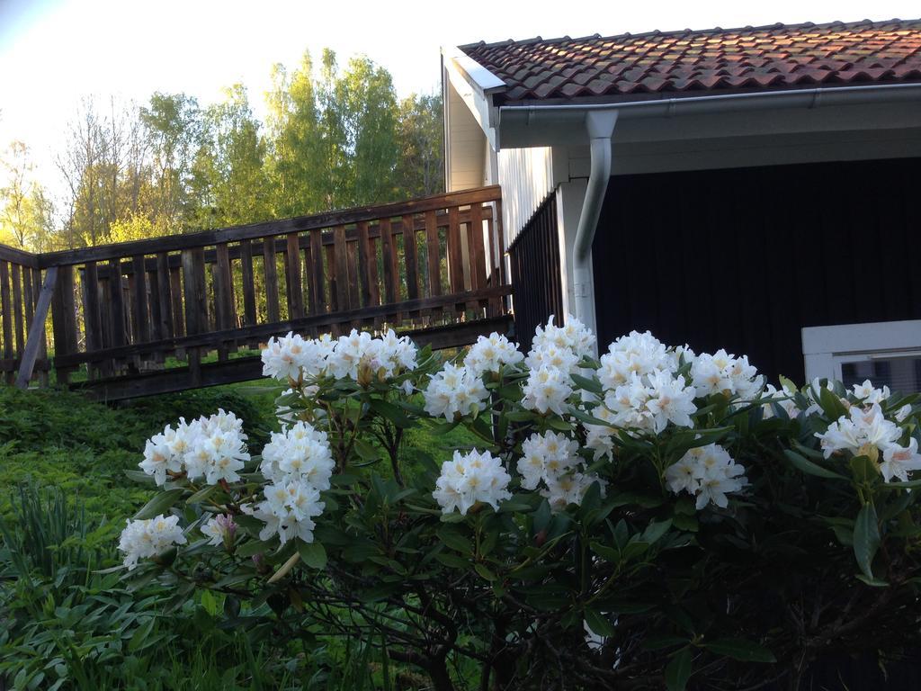 Motel E4 Kolmarden Apartments And Cottages エクステリア 写真